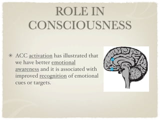 ROLE IN
     CONSCIOUSNESS

ACC activation has illustrated that
we have better emotional
awareness and it is associated with
improved recognition of emotional
cues or targets.
 