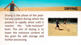 PSYCHROMETRY AND DRYING POST HARVEST TECHNOLOGY UNIT 2.pptx
