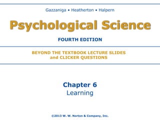 Gazzaniga • Heatherton • Halpern

Psychological Science
FOURTH EDITION
BEYOND THE TEXTBOOK LECTURE SLIDES
and CLICKER QUESTIONS

Chapter 6
Learning

©2013 W. W. Norton & Company, Inc.

 