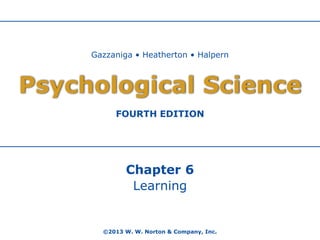 Gazzaniga • Heatherton • Halpern

Psychological Science
FOURTH EDITION

Chapter 6
Learning

©2013 W. W. Norton & Company, Inc.

 