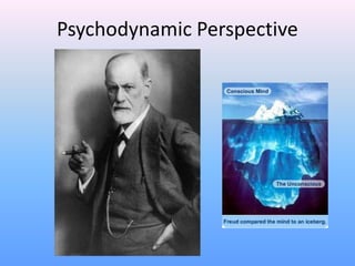 Psychodynamic Perspective
 