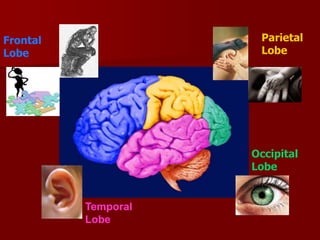 Psycology_of_success.ppt