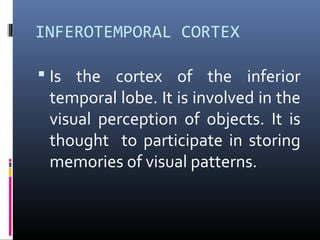 INFEROTEMPORAL CORTEX
 Is the cortex of the inferior
temporal lobe. It is involved in the
visual perception of objects. It is
thought to participate in storing
memories of visual patterns.
 