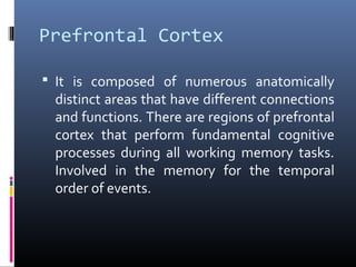 Prefrontal Cortex
 It is composed of numerous anatomically
distinct areas that have different connections
and functions. There are regions of prefrontal
cortex that perform fundamental cognitive
processes during all working memory tasks.
Involved in the memory for the temporal
order of events.
 