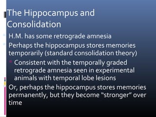 The Hippocampus and
Consolidation
 H.M. has some retrograde amnesia
 Perhaps the hippocampus stores memories
temporarily (standard consolidation theory)
 Consistent with the temporally graded
retrograde amnesia seen in experimental
animals with temporal lobe lesions
 Or, perhaps the hippocampus stores memories
permanently, but they become “stronger” over
time
 
