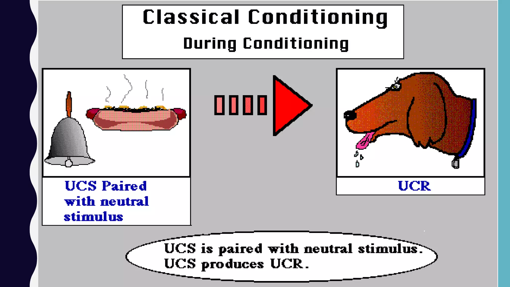 Classical and operant conditioning | PDF | Science