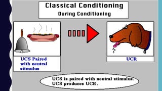 Classical and operant conditioning | PDF | Science