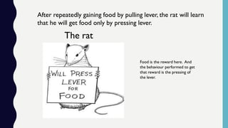 After repeatedly gaining food by pulling lever, the rat will learn
that he will get food only by pressing lever.
The rat
Food is the reward here. And
the behaviour performed to get
that reward is the pressing of
the lever.
 