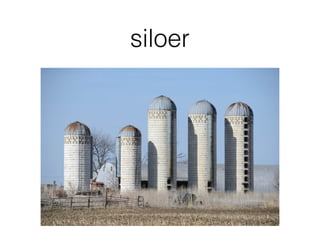 siloer
 