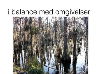 i balance med omgivelser
 