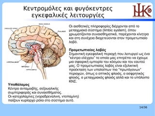 Κεντρομόλες και φυγόκεντρες                                          LOGO
           εγκεφαλικές λειτουργίες
             ...