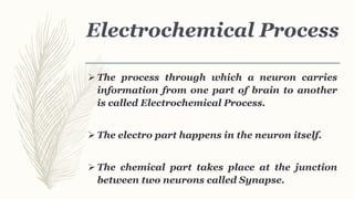 Electrochemical Process
 The process through which a neuron carries
information from one part of brain to another
is called Electrochemical Process.
 The electro part happens in the neuron itself.
 The chemical part takes place at the junction
between two neurons called Synapse.
 
