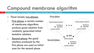 Compound membrane algorithm
26 Bioinformatics course - Laurea Magistrale in Ingegneria Informatica, Percorso di Eccellenza
 Tissue based, two phases:
1. First phase: a certain number
of membrane algorithms
produce good solutions from
randomly generated initial
tentative solutions
2. Second phase: the good
solutions produced by the
first phase are used as initial
ones for the second phase
 