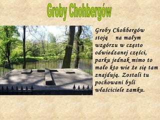 Groby Chohbergów stoją  na małym wzgórzu w często odwiedzanej części, parku jednak mimo to mało kto wie że się tam znajdują. Zostali tu pochowani byli właściciele zamku.   Groby Chohbergów 