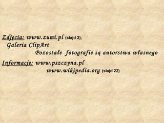 Zdjęcia:  www.zumi.pl  (slajd 2),  Galeria ClipArt  Pozostałe  fotografie są autorstwa własnego Informacje:  www.pszczyna.pl  www.wikipedia.org  (slajd 22) 