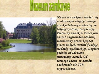 Muzeum zamkowe mieści  się w obronnym niegdyś zamku, przekształconym później  w trójskrzydłową rezydencję. Pierwszy zamek w Pszczynie został najprawdopodobniej wzniesiony przez książąt piastowskich. Pełnił funkcję siedziby myśliwskiej. Dopiero później zbudowano murowany zamek. Od tamtego czasu  w zamku zachowało się 70% wyposażenia. Muzeum zamkowe 
