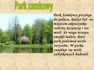Park Zamkowy przylega  do pałacu, kiedyś był  on miejscem odpoczynku rodziny książęcej i nie mieli  do niego wstępu zwykli ludzie. Dziś park podziwia wielu turystów. W parku znajduje się wiele zabytkowych budowli. Park zamkowy 