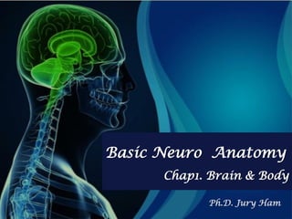 Basic Neuro Anatomy
Chap1. Brain & Body
Ph.D. Jury Ham
 
