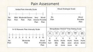Comprehensive Pain Management: Types, Pathophysiology, Assessment, and ...