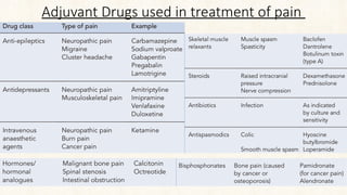 Adsuvan Rug Comprehensive Pain Management: Types, Pathophysiology, Assessment, and ...