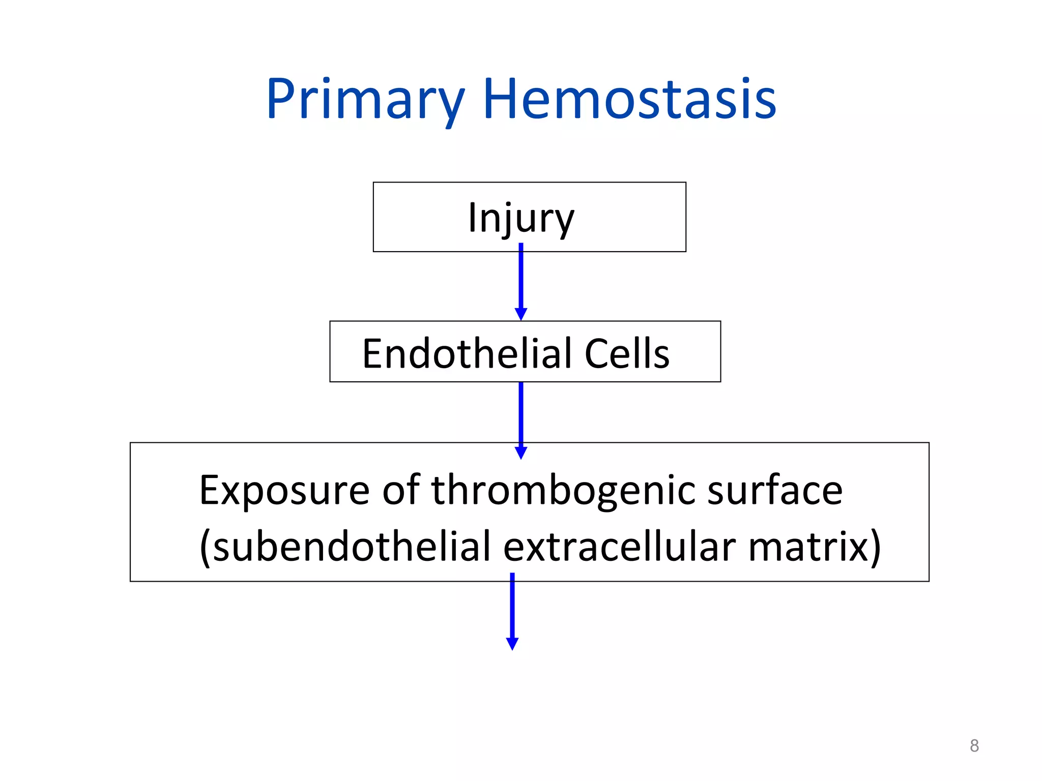 Primary Hemostasis Injury Endothelial Cells  Exposure of thrombogenic surface (subendothelial extracellular matrix) 