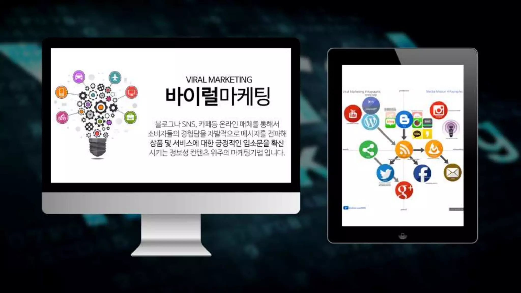 미디어상에서의 동물학대 근절 캠페인