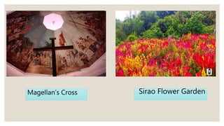 Magellan’s Cross Sirao Flower Garden
 