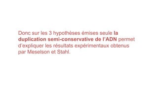 Donc sur les 3 hypothèses émises seule la
duplication semi-conservative de l’ADN permet
d’expliquer les résultats expérimentaux obtenus
par Meselson et Stahl.
 