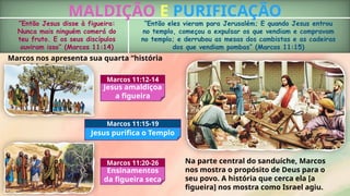 MALDIÇÃO E PURIFICAÇÃO
“Então Jesus disse à figueira:
Nunca mais ninguém comerá do
teu fruto. E os seus discípulos
ouviram isso” (Marcos 11:14)
“Então eles vieram para Jerusalém; E quando Jesus entrou
no templo, começou a expulsar os que vendiam e compravam
no templo; e derrubou as mesas dos cambistas e as cadeiras
dos que vendiam pombas” (Marcos 11:15)
Jesus amaldiçoa
a figueira
Marcos 11:12-14
Jesus purifica o Templo
Marcos 11:15-19
Ensinamentos
da figueira seca
Marcos 11:20-26
Marcos nos apresenta sua quarta “história
sanduíche”:
Na parte central do sanduíche, Marcos
nos mostra o propósito de Deus para o
seu povo. A história que cerca ela [a
figueira] nos mostra como Israel agiu.
 