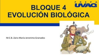BLOQUE 4
EVOLUCIÓN BIOLÓGICA
M.C.B. Zaira María Jeronimo Granados
 