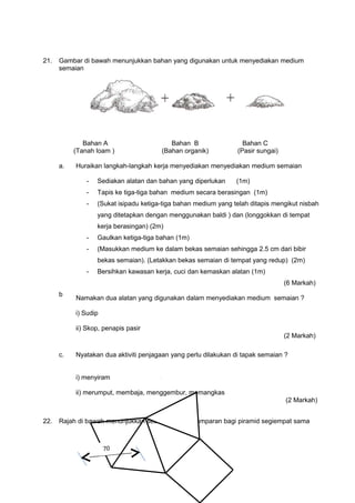 21. Gambar di bawah menunjukkan bahan yang digunakan untuk menyediakan medium
semaian
Bahan A Bahan B Bahan C
(Tanah loam ) (Bahan organik) (Pasir sungai)
a.
b
Huraikan langkah-langkah kerja menyediakan menyediakan medium semaian
- Sediakan alatan dan bahan yang diperlukan (1m)
- Tapis ke tiga-tiga bahan medium secara berasingan (1m)
- (Sukat isipadu ketiga-tiga bahan medium yang telah ditapis mengikut nisbah
yang ditetapkan dengan menggunakan baldi ) dan (longgokkan di tempat
kerja berasingan) (2m)
- Gaulkan ketiga-tiga bahan (1m)
- (Masukkan medium ke dalam bekas semaian sehingga 2.5 cm dari bibir
bekas semaian). (Letakkan bekas semaian di tempat yang redup) (2m)
- Bersihkan kawasan kerja, cuci dan kemaskan alatan (1m)
(6 Markah)
Namakan dua alatan yang digunakan dalam menyediakan medium semaian ?
i) Sudip
ii) Skop, penapis pasir
(2 Markah)
c. Nyatakan dua aktiviti penjagaan yang perlu dilakukan di tapak semaian ?
i) menyiram
ii) merumput, membaja, menggembur, memangkas
(2 Markah)
22. Rajah di bawah menunjukkan sebuah lukisan hamparan bagi piramid segiempat sama
70
 