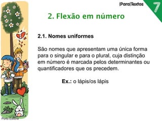  
Porto Editora 
2.1. Nomes uniformes 
São nomes que apresentam uma única forma 
para o singular e para o plural, cuja distinção 
em número é marcada pelos determinantes ou 
quantificadores que os precedem. 
Ex.: o lápis/os lápis 
 