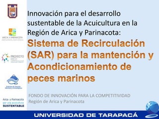 Innovación para el desarrollo
sustentable de la Acuicultura en la
Región de Arica y Parinacota:




FONDO DE INNOVACIÓN PARA LA COMPETITIVIDAD
Región de Arica y Parinacota
 