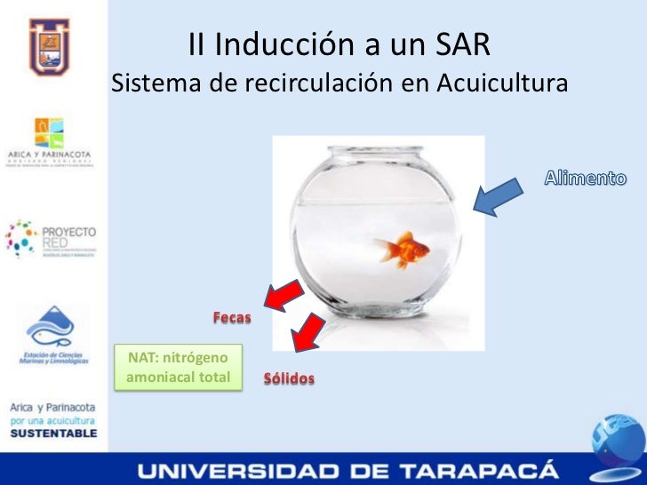 Sistema de recirculación (SAR)