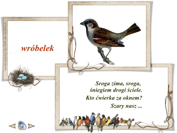Wiersz O Ptakach
