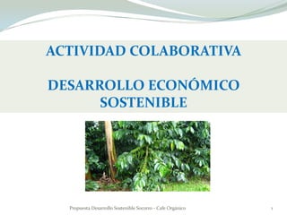 ACTIVIDAD COLABORATIVA

DESARROLLO ECONÓMICO
      SOSTENIBLE




  Propuesta Desarrollo Sostenible Socorro - Cafe Orgánico   1
 