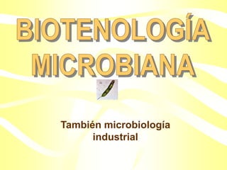 También microbiología
industrial
 