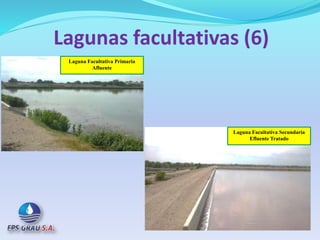 Lagunas facultativas (6)
Laguna Facultativa Secundaria
Efluente Tratado
Laguna Facultativa Primaria
Afluente
 