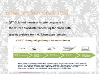  QFT-Gold test measures interferon-gamma in
the testee's blood after incubating the blood with
specific antigens from M. Tuberculosis proteins
16
Free template from www.brainybetty.com
 