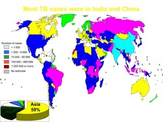 Most TB cases were in India and China
Number of cases
< 1 000
1 000 - 9 999
10 000 - 99 999
100 000 - 999 999
1 000 000 or more
No estimate
Asia
59%
Africa
21%
 
