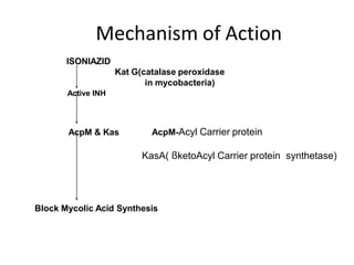 Mechanism of Action
ISONIAZID
Kat G(catalase peroxidase
in mycobacteria)
Active INH
AcpM & Kas AcpM-Acyl Carrier protein
KasA( ßketoAcyl Carrier protein synthetase)
Block Mycolic Acid Synthesis
 