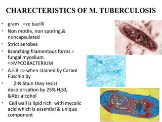 CHARECTERISTICS OF M. TUBERCULOSIS
▪
▪
gram +ve bacilli
Non motile, non sporing,&
noncapsulated
Strict aerobes
Branching filamentous forms ≈
fungal mycelium
=>MYCOBACTERIUM
A.F.B => when stained by Carbol
Fuschin by
Z-N Stain they resist
decolorisation by 25% H2S04
&Abs.alcohol
Cell wall is lipid rich with mycolic
acid which is essential & unique
component
▪
▪
▪
▪
▪
 