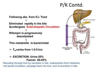 P/K Contd.
Metabolism
Following abs. from G.I. Tract
𝗍
Eliminated rapidly in the bile
&undergoes Enterohepatic Circulation
𝗍
Rifampin is progressively
deacetylated
𝗍
This metabolite is bactericidal
➢ T1/2varies from 1.5-5 hrs
➢ EXCRETION: Urine-30%
Faeces 60-65%
Recycling through liver by excretion in bile, reabsorption from intestines
into portal circulation, passage back into liver, and re-excretion in bile.
 