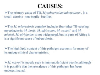 CAUSES:
➢The primary cause of TB, Mycobacterium tuberculosis , is a
small aerobic non-motile bacillus.
➢The M. tuberculosis complex includes four other TB-causing
mycobacteria: M. bovis, M. africanum, M. canetti and M.
microti. M. africanum is not widespread, but in parts of Africa it
is a significant cause of tuberculosis.
➢The high lipid content of this pathogen accounts for many of
its unique clinical characteristics.
➢M. microti is mostly seen in immunodeficient people, although
it is possible that the prevalence of this pathogen has been
underestimated.
 