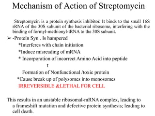 Mechanism of Action of Streptomycin
Streptomycin is a protein synthesis inhibitor. It binds to the small 16S
rRNA of the 30S subunit of the bacterial ribosome, interfering with the
binding of formyl-methionyl-tRNA to the 30S subunit.
➢-Protein Syn . Is hampered
*Interferes with chain initiation
*Induce misreading of mRNA
* Incorporation of incorrect Amino Acid into peptide
𝗍
Formation of Nonfunctional /toxic protein
*Cause break up of polysomes into monosomes
IRREVERSIBLE &LETHAL FOR CELL
This results in an unstable ribosomal-mRNA complex, leading to
a frameshift mutation and defective protein synthesis; leading to
cell death.
 