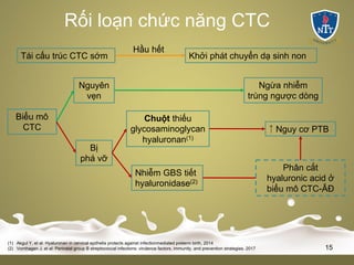 Rối loạn chức năng CTC
(1) Akgul Y, et al: Hyaluronan in cervical epithelia protects against infectionmediated preterm birth, 2014
(2) Vornhagen J, et al: Perinatal group B streptococcal infections: virulence factors, immunity, and prevention strategies. 2017 15
Tái cấu trúc CTC sớm Khởi phát chuyển dạ sinh non
Hầu hết
Biểu mô
CTC
Ngừa nhiễm
trùng ngược dòng
Nguyên
vẹn
Bị
phá vỡ
Chuột thiếu
glycosaminoglycan
hyaluronan(1)
Nhiễm GBS tiết
hyaluronidase(2)
Phân cắt
hyaluronic acid ở
biểu mô CTC-ÂĐ
￪ Nguy cơ PTB
 