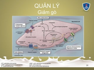 QUẢN LÝ
Giảm gò
ATP: adenosine triphosphate cAMP: cyclic adenosine monophosphate;
cGMP: cyclic guanosine monophosphate; COX: cyclooxygenase
IP: inositol triphosphate PIP: phosphotidylinositol triphosphate.
31
 