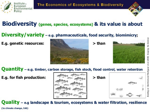 Tourism Transforming Natural Resources Tourism Transforming Natural Resources
