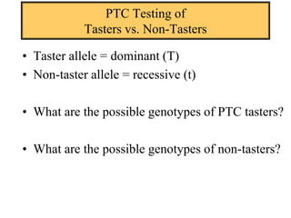 PTC Testing ofTasters vs. Non-Tasters Taster allele = dominant (T) Non-taster allele = recessive (t) What are the possible genotypes of PTC tasters? What are the possible genotypes of non-tasters? 