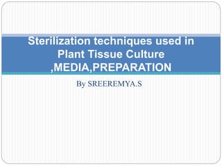 Sterilization techniques used in 
Plant Tissue Culture 
,MEDIA,PREPARATION 
By SREEREMYA.S 
 